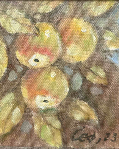 Suli Seferov - Apples