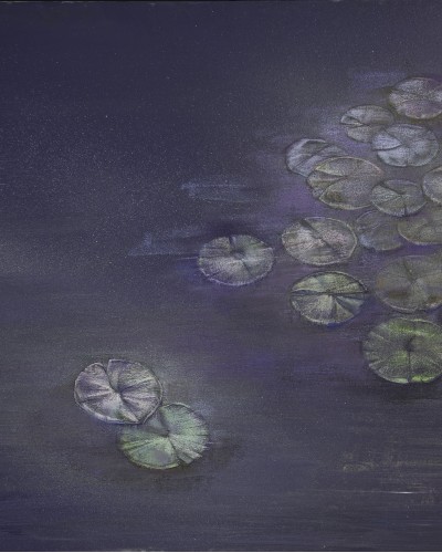 Desislava Mincheva - Water Lillies