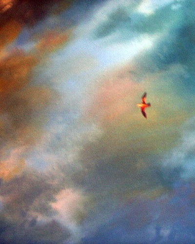 Hristina Petrova - Heaven